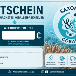 Gutschein 25€