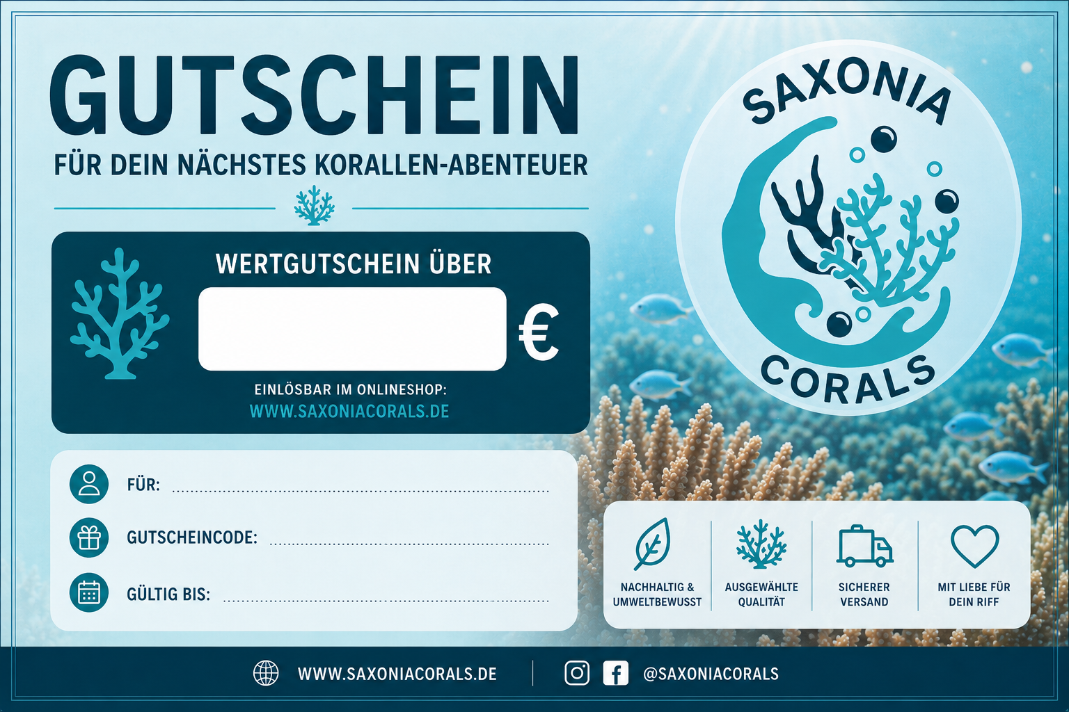 Gutschein 25€